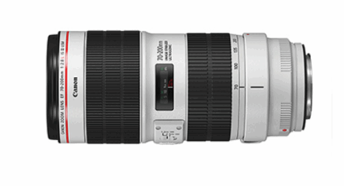 Canon EF70-200mm F2.8L IS III USMフィルター径77mm - 画像 (2)