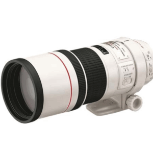 Canon EF 300  F4  L