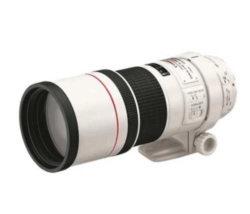 Canon EF 300  F4  L
