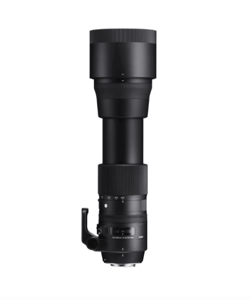 SIGMA Contemporary 150-600mm F5-6.3 DG OS HSM  EFマウント - 画像 (2)