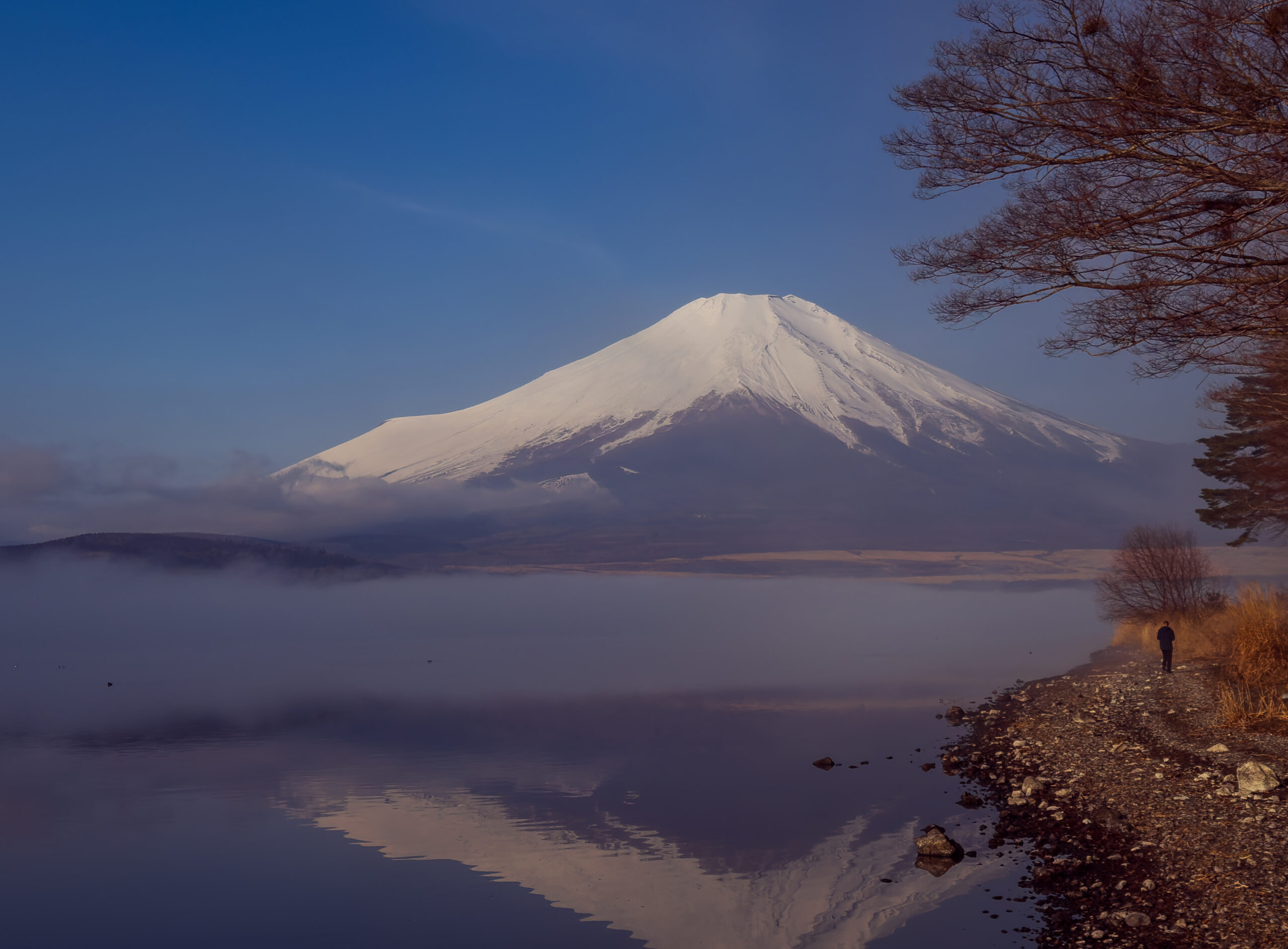 あけましておめでとうございます